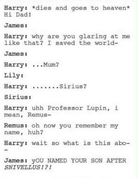 I mean, I’m pretty sure he didn’t name his biological children after Remus cause Teddy was already named after him, but for fucks sake! Couldn’t you name your son after THE ACTUAL FATHER FIGURE YOU HAD EVER SINCE YOU TURNEF ELEVEN YEARS OLD?! WAS IT THAT HARD TO NAME YOYR SON ALBUS RUBEUS?! HAGRID DID A LOT MORE FOR YOU, YOU UNGRATEFUL LITTLE SHIT Grace Meme, Marauders Funny, Love Memes For Him, Funny Memes For Him, Memes For Him, Funny Pictures For Kids, Harry Potter Tumblr, Super Funny Quotes, Harry Potter Jokes