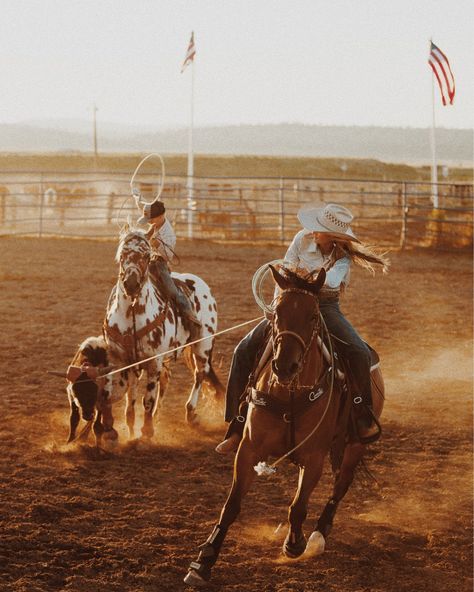 Vintage Rodeo Aesthetic, Team Roping Aesthetic, Western Vision Board Ideas, Breakaway Roping Aesthetic, Western Photo Wall Collage, Catie Core, Bull Rider Aesthetic, Bull Riding Aesthetic, Barrel Racer Aesthetic