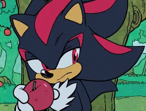 Shadow The Hedgehog Idw, Dark Tide, Beginner Sketches, Chaos Emeralds, Shadow And Amy, Sonic Funny, Shadow Art, Sonic And Shadow, Learn Art