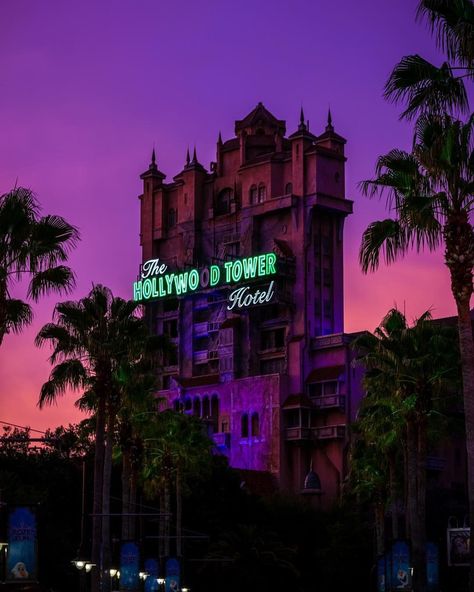 Walt Disney World on Instagram: “Where is your favorite spot to watch a #WaltDisneyWorld sunset?✨#TowerofTerror #SunsetSunday (📷: @orlandobrothas)” Hollywood Tower Of Terror, Disney World Hollywood Studios, Hollywood Tower Hotel, Disneyland Attractions, Hollywood Tower, Disney Tickets, Disneyland Tickets, Disney World Pictures, Hollywood Hotel