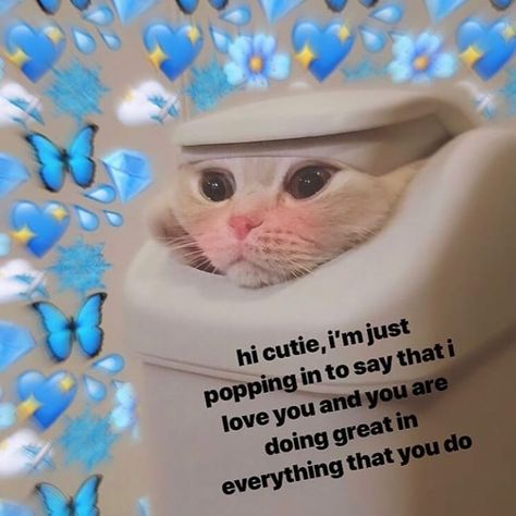 Thankth trash can cat - - - #memes #meme #memes4days #memesdaily #memess #memestgram #mine #epicgames #wholsomememes #wholesomememe #love… Funny Couples Memes, Flirty Memes, Couple Memes, Cute Text Quotes, Cute Cat Memes, Cute Love Memes, Crush Memes, Funny Couple, Cute Messages