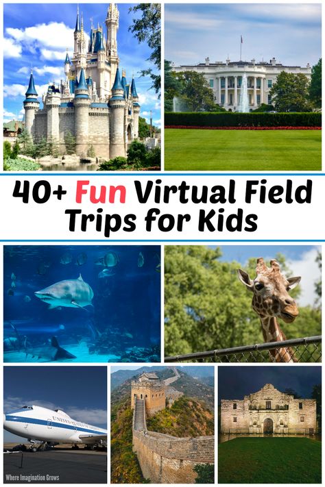 Trips For Kids, Homeschool Fun, Homeschool Field Trips, Learning For Kids, Houston Zoo, Educational Play, Virtual Field Trips, Virtual Travel, Virtual School