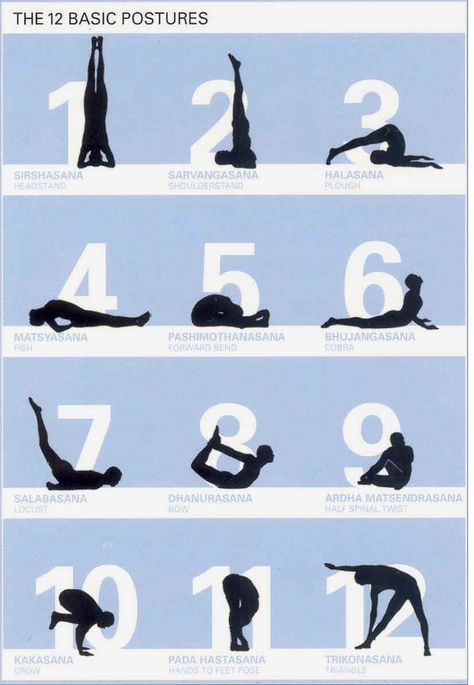 Sivananda series, the twelve basic postures! Yoga Asanas Names, Basic Yoga For Beginners, Yoga Posters, Yoga Posses, Basic Poses, Sivananda Yoga, Weight Goals, Rishikesh Yoga, Yoga Stretching