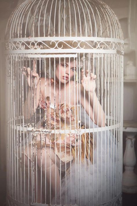 Caged 24 Aesthetic, Emily Soto, Bird Cages, Whimsical Fashion, Marie Antoinette, Bird Cage, Girl Drawing, Rococo, Aesthetic Girl