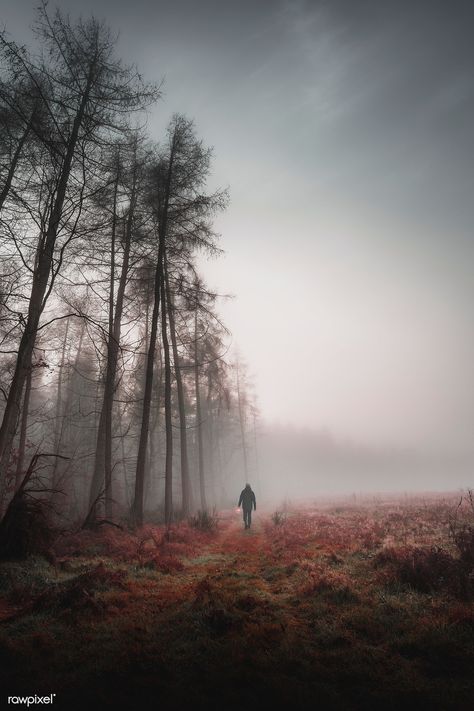 Man walking in a misty woods with a lamp | premium image by rawpixel.com / Luke Stackpoole Mist Forest, Misty Woods, Walking Road, Mystic Forest, Autumn Photos, Forest Sunset, Misty Mountains, Morning Walks, Misty Morning