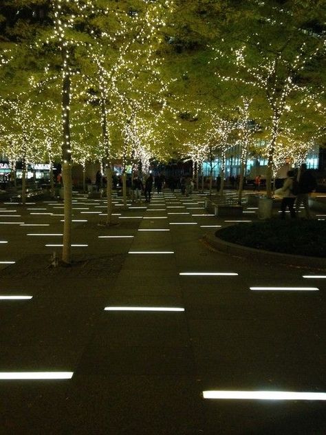 Visit City Lighting Products! https://www.linkedin.com/company/city-lighting-products: Park Lighting, Plaza Design, Paving Pattern, Landscape Lighting Design, Urban Lighting, Outdoor Landscape Lighting, Landscape Architecture Design, Backyard Lighting, Trondheim