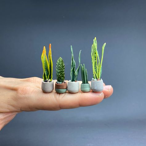 Sansevieria- the easiest way to get started with polymer clay canes for realistic plants. There are so many variations, patterns and colors. These are some of my first attempts from a few years ago. #polymerclaycreations #polymerclay #sansevieria #miniatur #miniatures #miniatureplants #dollshouseminiatures #polymerclayartist Bake Polymer Clay, Polymer Clay Ring, Dollhouse Tutorials, Polymer Clay Flower Jewelry, Clay Canes, Polymer Clay Cane, Garden Mini, Acrylic Pouring Art, Polymer Clay Canes