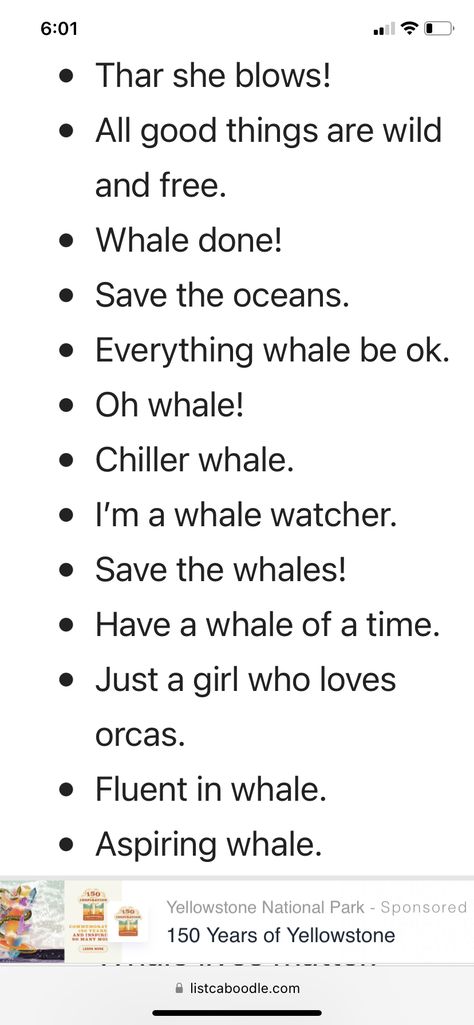 Whale Quotes, Whale Quote, Oh Whale, Save The Whales, Good Insta Captions, Insta Captions, Ocean Creatures, Killer Whales, Wild And Free