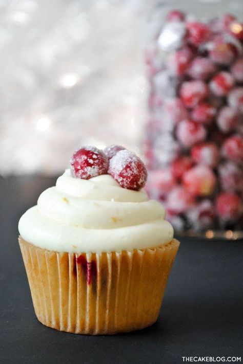 Cranberry Orange Cupcakes topped with candied cranberries | by Carrie Sellman Cranberry Orange Cupcakes, Cranberry Cupcakes, Candied Cranberries, Orange Cupcakes, Orange Cranberry, Salty Cake, Cake Blog, Cranberry Orange, Köstliche Desserts