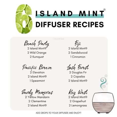 Exclusive doTERRA Essential Oil - Island Mint Summertime Blend — Oils With Jamie Diffuser Cleaning, Spruce Essential Oil, Doterra Oils Recipes, Doterra Diffuser, Doterra Oil, Doterra Diffuser Blends, Essential Oil Diffuser Blends Recipes, Mint Oil, Lime Essential Oil