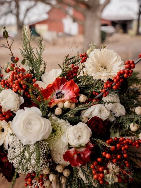 Closeup of Christmas flowers bridal bouquet with a barn in the background. Christmas Wedding Quotes, Colorful Winter Wedding Flowers, Christmas Wedding Photography, Winter Wedding Floral Centerpieces, Christmas Wedding Florals, Centerpieces Wedding Christmas, Bright Winter Wedding, Winter Wedding Flower Arrangements, Christmas Elopement