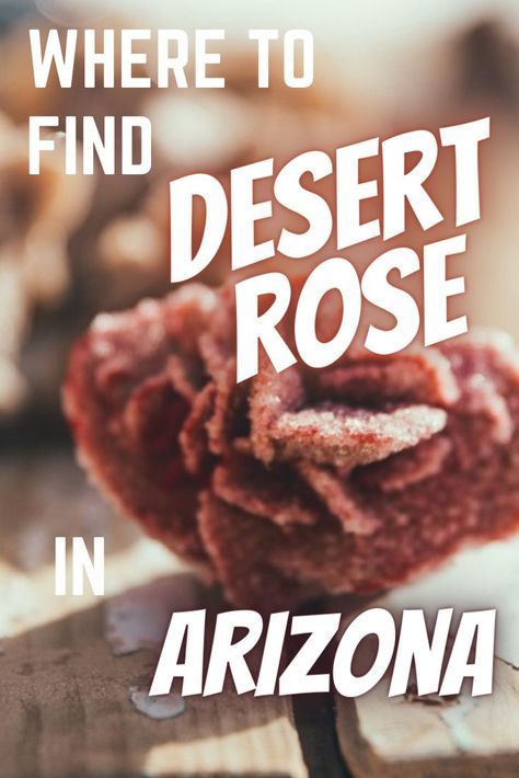 In the American desert southwest is a rock formation known as the desert rose. If you know where to go to find the desert rose rock in Arizona, you're sure to find a lot. If you're a rock collector and are going to be traveling to Arizona, or live there, here's where to find desert rose rocks in Arizona. Take your rock collecting to the next level and try something new! Arizona Rockhounding, Arizona Rocks, Gem Hunting, Desert Rose Crystal, American Desert, Gem Hunt, Rock Collecting, Rock Tumbling, Arizona Adventure