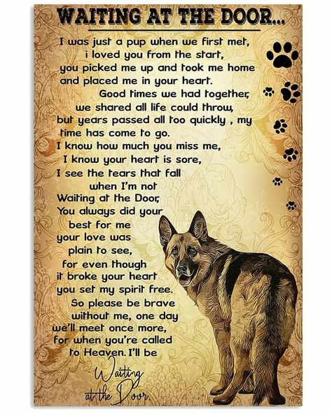 Door Canvas, Pet Poems, Door Poster, Dog Quotes Love, Malinois Dog, Heaven Quotes, Dog Heaven, Shepherd Dogs, At The Door