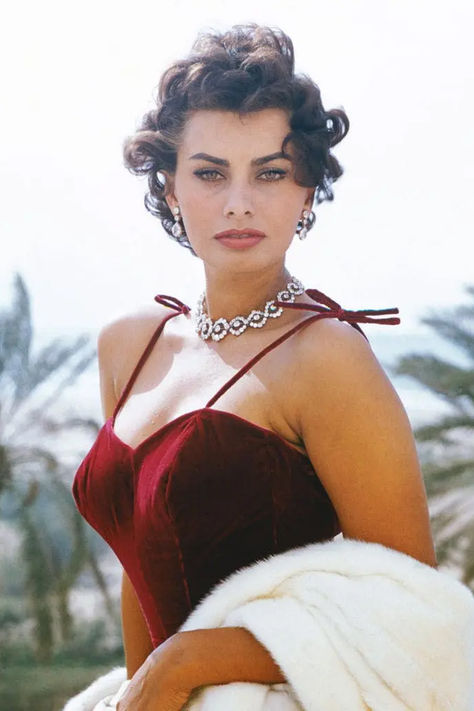 Sophia Loren é um verdadeiro ícone do cinema  Sophia Loren (Foto: Getty Images) Sophia Lauren, Sophie Loren, Sofia Loren, Curly Pixie Cuts, Actrices Hollywood, Monica Bellucci, Sophia Loren, Beauty Icons, Elizabeth Taylor