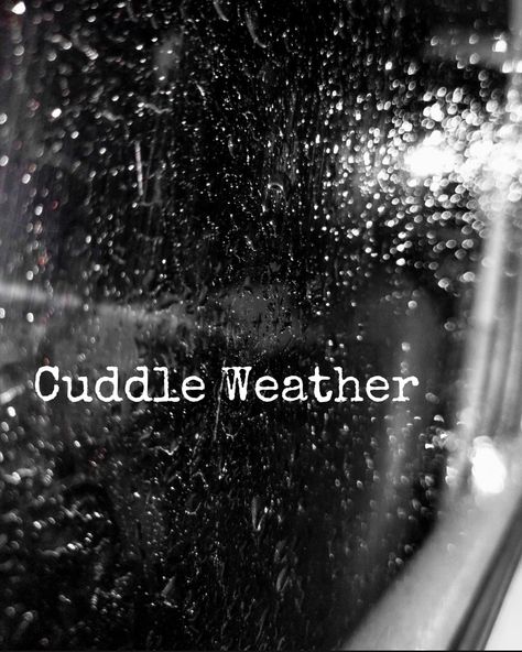 Cold Weather Cuddles, Cuddles Quotes, Cuddling Gif, Cuddle Quotes, Rainy Day Quotes, Morning Gifs, Cuddle Weather, Cozy Rainy Day, Season Quotes