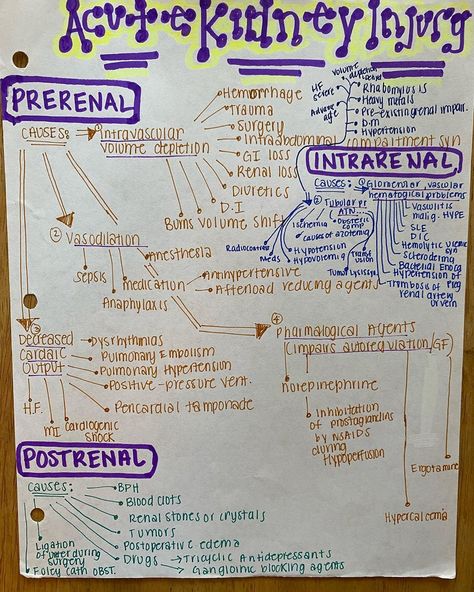 Acute Kidney Injury Nursing, Acute Kidney Injury, Happy Fri-yay, Nursing Mnemonics, Fri Yay, Fundamentals Of Nursing, Nursing School Studying, Scrub Life, Pre Med