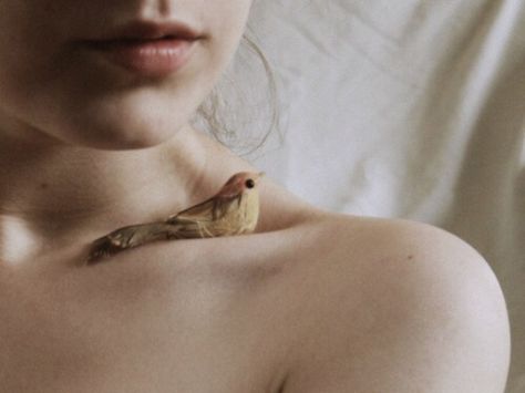 ❖ Laura Makabresku, Sansa Stark, 인물 사진, Little Bird, Aphrodite, Art Stuff, Birdy, Photography Inspiration, We Heart It