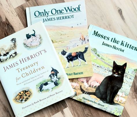 Most of our homeschool lessons come from literature.  Good literature, that has stood the test of time. Literature that builds character and reveals beauty. #homesteadonlakeside #homeschool #jamesherriot #livingbooks #charlottemason #science #animals #childrensbooks #books Homeschool Literature, James Herriot, Homeschool Lessons, Homeschool Lesson, Living Books, Charlotte Mason, Homeschool Science, Unit Study, Homeschool Ideas