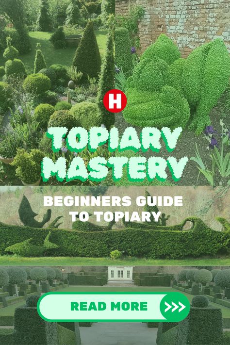 Whether you know it as topiary, hedge sculpture or hedge art, growing, training and creating your topiary is an exciting and rewarding project. Topiary shapes range from simple, geometric shapes to large ornate designs that wow your family and friends.  If you’re looking for a new creative outlet and want to try some topiary for yourself, read our guide to get started. #TopiaryArt #GardenSculpture #PrecisionGardening #HenchmanStability Hedge Sculpture, Topiary Shapes, Outdoor Topiary, Topiary Plants, Topiary Garden, Topiaries, You Know It, Creative Outlet, Hedges