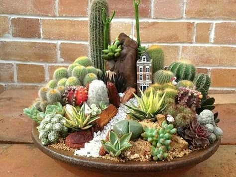 Mini Succulent Garden, Kaktus Dan Sukulen, Succulent Garden Indoor, Succulent Planters, Mini Fairy Garden, Dish Garden, Fairy Garden Decor, Cement Pots, Succulent Gardening