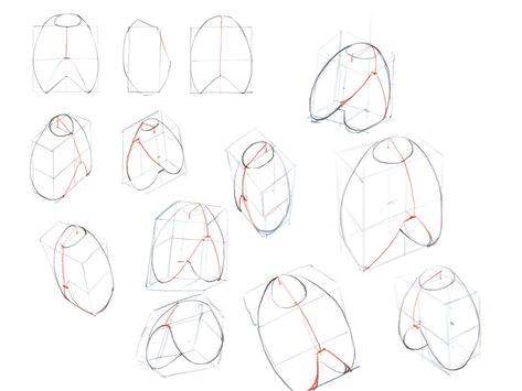 Geometric Shapes Drawing, Fashion Figure Drawing, Art Assignments, Anatomy Tutorial, Body Drawing Tutorial, Human Anatomy Drawing, Master Drawing, Manga Drawing Tutorials, Human Figure Drawing