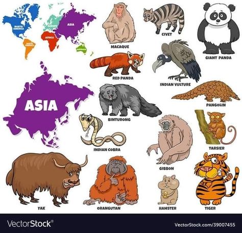 World Map With Continents, Continents Activities, Asian Animals, World Map Continents, Asia Continent, Geography For Kids, Educational Illustration, Montessori Practical Life, Preschool Activities Toddler