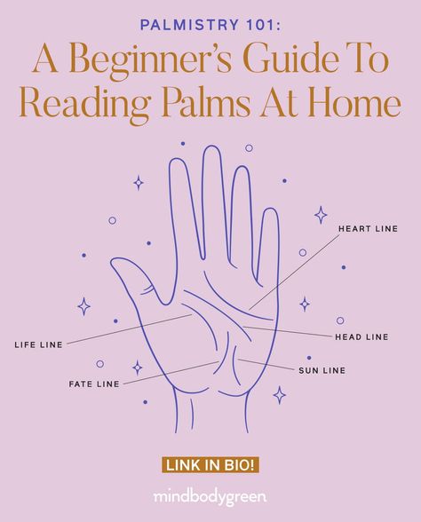 Read Between The Lines: A Starter Guide To Reading Palms At Home Reading Palms, Palm Reading Lines, Palm Reading Charts, Palmistry Reading, Read Between The Lines, Palm Reader, Reading For Beginners, Numerology Life Path, Face Reading