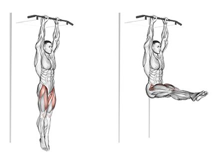 Hanging Leg Raises 2 Leg Raise, Hanging Leg Raises, Body Coach, Better Body, Health Information, Pull Up Bar, Leg Raises, Men's Health, Breath In Breath Out