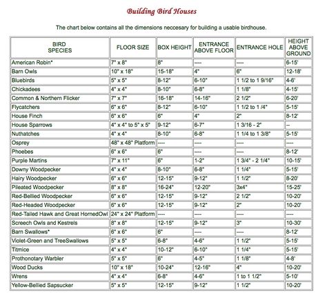 Chickadee Bird House Plans, Bird House Hole Size, Birdhouse Hole Size Chart, Building Bird Houses, Wooden Bird Houses Overstock, Woodworking Shop Projects, Bird Houses Ideas Diy, Bird House Plans, Height Chart