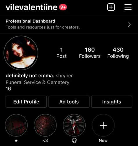 Insta Bio Layout, Gothic Instagram Bios, Profile Instagram Ideas, Jeanne Core, Bio Layout, Insta Profile Ideas, Bios For Instagram, Bio Ideas For Instagram, Ig Profile Ideas