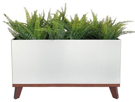 Rectangle Potted Plants Outdoor, Rectangle Pot Plant Ideas, Tall Rectangle Planters Outdoor, Rectangular Planters Indoor, Concrete Rectangular Planter, Rectangle Planters, Planters For Sale, Front Entrances, Planter Pots Indoor