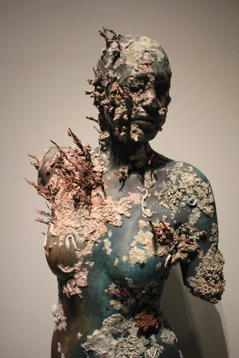 Damien Hirst Sculpture, Damien Hirst Art, Decay Art, Underwater Sculpture, Mannequin Art, 3d Figures, Bio Art, Damien Hirst, Gcse Art