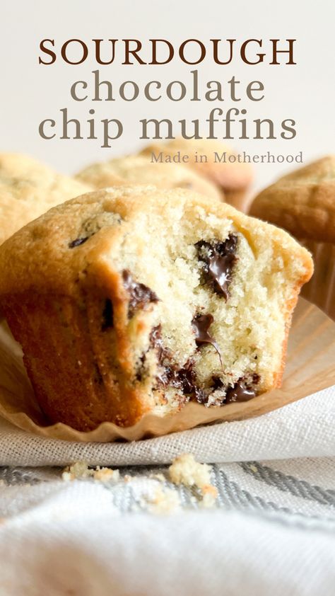 A sourdough chocolate chip muffin with a bite taken out of it. Discard Chocolate Chip Muffins, Sourdough Muffin, Sourdough Muffins, Recipe Using Sourdough Starter, Chocolate Chip Muffin Recipe, Sourdough Starter Discard Recipe, Homemade Sourdough Bread, Sourdough Starter Recipe, Sourdough Discard