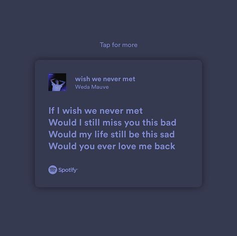 I Wish We Never Met Quotes, Sometimes I Wish I Never Met You, I Wish I Never Met You, I Wish We Never Met, Wish We Never Met, I Still Miss You, Still Miss You, Tic Tok, Spotify Lyrics