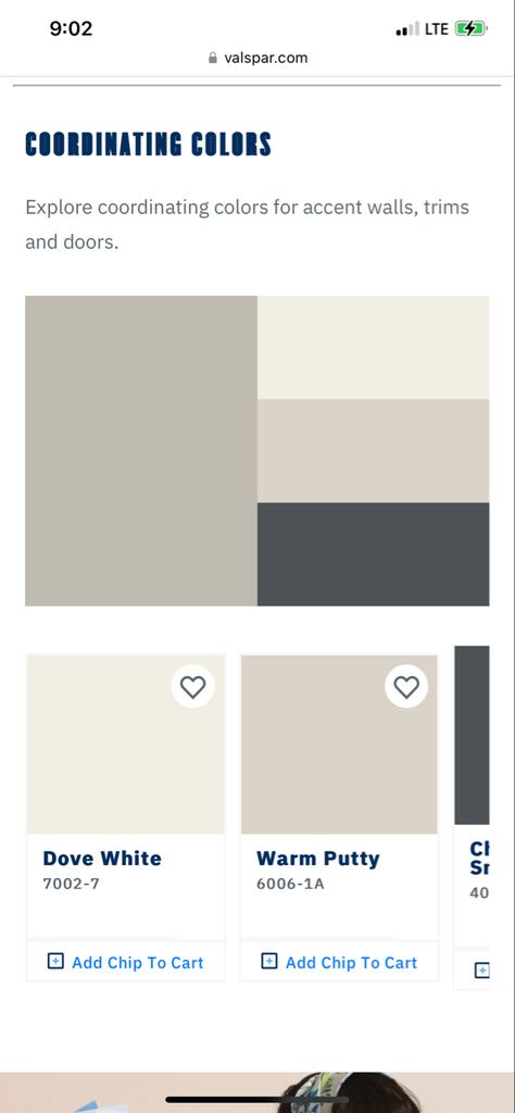 Valspar Frappe Paint Color Schemes, Valspar Paint Palette, Tea Stain Paint Color Valspar, Warm Putty Paint Color, Warm Putty Valspar Paint, Valspar Warm Putty, Putty Paint Color, Outdoor House Colors, Pitch Colour