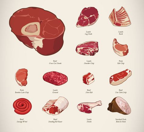 Meat Art, Raw Meat, Solve The Problem, Poor Circulation, Arte Sketchbook, Digital Painting Tutorials, Food Drawing, Anatomy Art, Art Poses