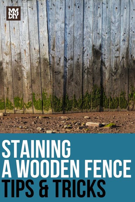 Wooden fences are one of the more common choices out there. What you may not realize is that the finished product you see has already been stained or painted. If you plan on doing things the DIY way, knowing how to stain a wood fence can be crucial. Here are all of our top tips and tricks to stain a wooden fence! Staining A Fence, Staining Wood Fence, Shadow Box Fence, Wooden Fences, Fence Stain, Diy Staining, Fence Paint, What To Use, Wooden Decks