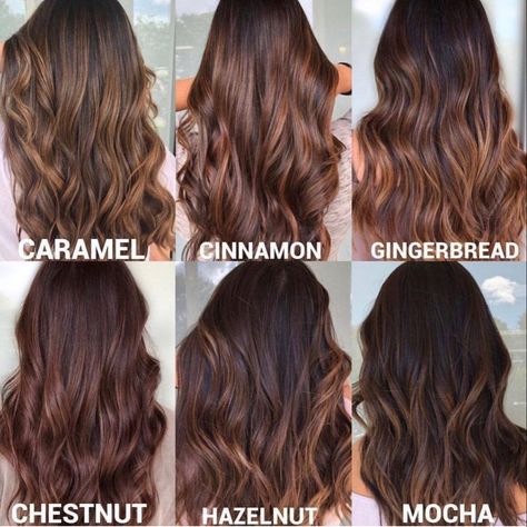 Single Process Hair Color, Cosmetology Career, Matrix Hair, Brown Hair Shades, Brown Hair Inspo, Hair Color Formulas, Chocolate Brown Hair, Hair Upstyles, Balayage Brunette