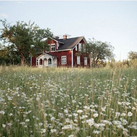 Swedish Red House, Swedish Aesthetic, Sweden Aesthetic, Swedish Houses, Scandinavian Cottage, British Cottage, Sweden House, Summer Cabin, Swedish House