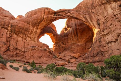 Zion National Park Photography, Colorado Plateau, Visit Utah, Utah Elopement, National Park Photos, National Park Road Trip, Utah Travel, Utah National Parks, Olympic National Park