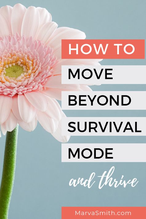 When you feel stuck in survival mode, use these tips to move from surviving to thriving. It's time to get out of survival mode and I'll show you how. Surviving To Thriving, Survivor Party, Single Mom Life, Feel Stuck, Survival Techniques, Survival Mode, Christian Encouragement, Life Improvement, Survival Prepping