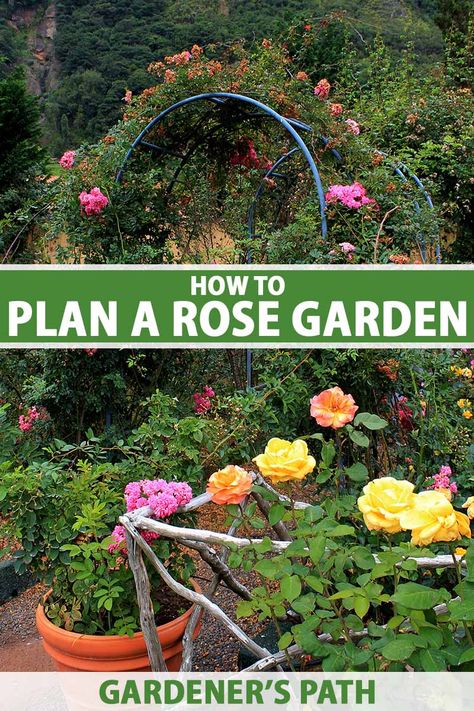 Planting A Rose Garden, Rose Flower Bed Landscaping Ideas, Rose Garden Cottage, Small Rose Garden Design Backyard Ideas, What To Plant With Roses Landscapes, How To Start A Rose Garden, Rose Garden Plans Design, How To Make A Rose Garden, Rose Garden Bed Ideas