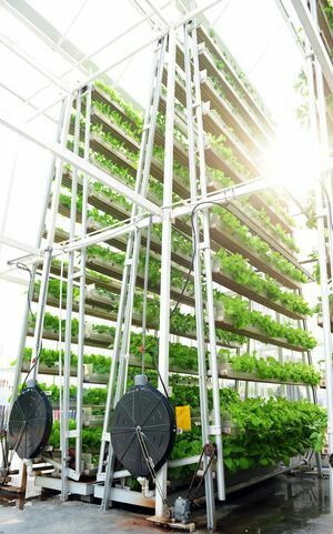 Lahan Pertanian, Urban Farms, Greenhouse Farming, Vertical Farm, Indoor Farming, Hydroponic Farming, Farming System, Urban Agriculture, Vertical Farming