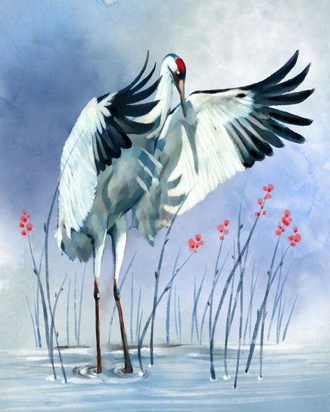 Thomas Little on Instagram: "Crane Preening #crane #bird #birds #waterbirds #asian #illustrator #illustration #procreate #paintings #water #shore #coastaldecor #coastal" Crane Bird Painting, Crane Painting Acrylic, Crane Bird Illustration, Bird Watercolor Art, Crowned Crane, Illustration Procreate, Artwork Ideas, Crane Bird, Phone Theme