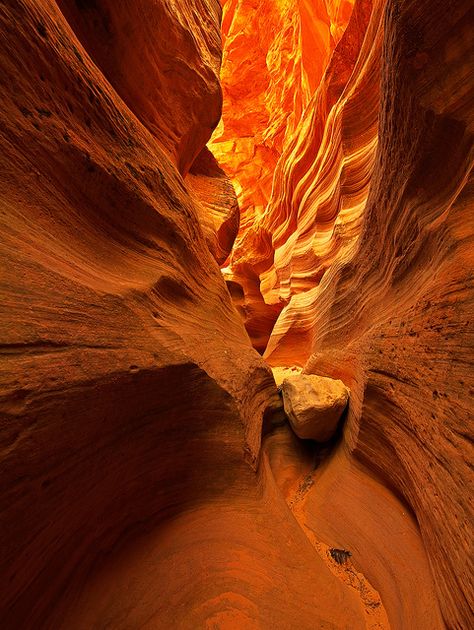 Red Canyon, photo by Gabe Farnsworth.    A fairly unknown slot canyon near Orderville, Utah Red Canyon, Utah Adventures, Slot Canyon, Utah Travel, Zion National Park, Antelope Canyon, Places To See, Utah, National Park