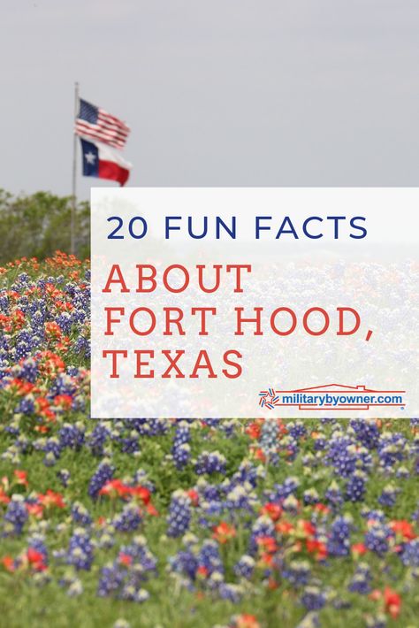 20 Fun Facts About Fort Hood, Texas 1st Cavalry Division, Fort Hood Texas, Killeen Texas, Military Time, Texas Trip, Army Post, Military Bases, Fort Hood, Fort Bragg