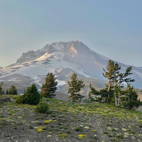 Views from Timberline Lodge, Mt Hood oregon Nature Core, Mt Hood Oregon, Timberline Lodge, Tyler The Creator Wallpaper, Visit Oregon, Mt Hood, Oregon Travel, Months Of The Year, 5 Hours