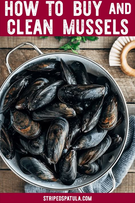 How To Cook Mussels Recipes, How To Cook Muscles, Fresh Mussels Recipe, Muscle Recipes Seafood, How To Cook Mussels, Steamed Mussels Recipe, Mussels Recipe White Wine, How To Clean Mussels, Best Mussels Recipe