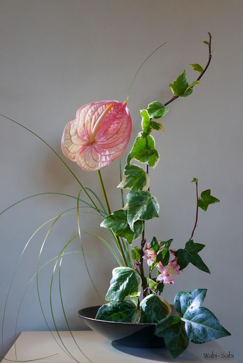 moribana hiedra y anthurium | by Wabi-Sabi Ikebana Anthurium Ikebana, Japanese Floral Design, Arreglos Ikebana, Foliage Arrangements, Japan Flower, Floral Art Arrangements, Dried Flowers Diy, Ikebana Arrangements, Flora Flowers