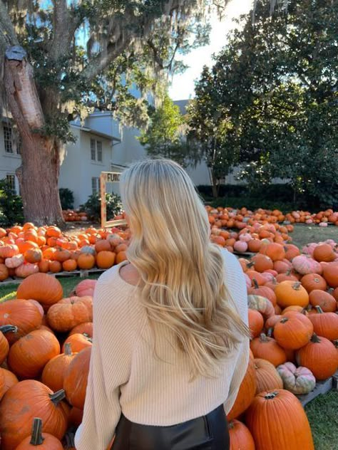 Pumpkin Patch Photoshoot, Pumpkin Patch Pictures, Fall Inspo, Fall Photoshoot, Fall Feels, Fall Pictures, Autumn Aesthetic, Fall Photos, Outfit Inspo Fall